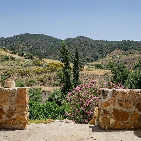 El bufon de la corte-2